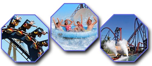 Group Packages including Busch Gardens Grad Nite
